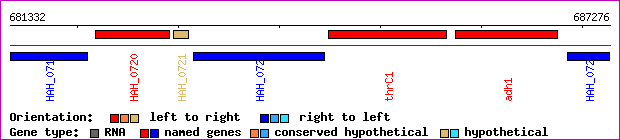 gene map