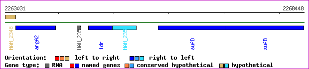 gene map