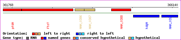 gene map