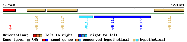 gene map