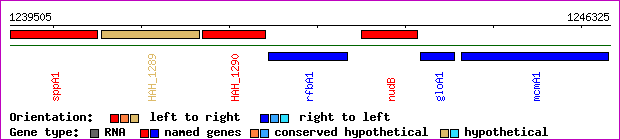 gene map
