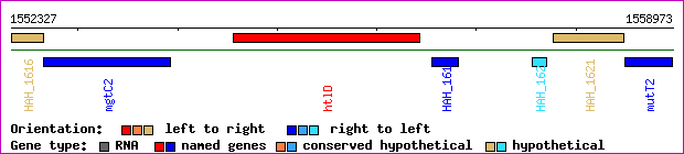 gene map