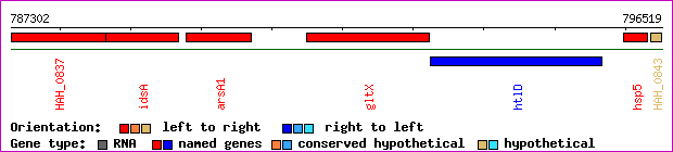 gene map