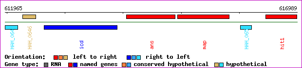gene map