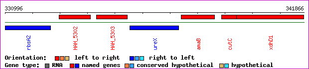 gene map
