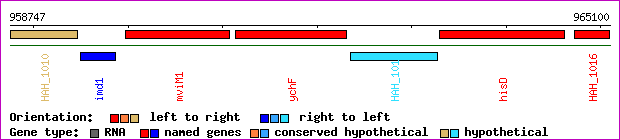 gene map