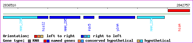 gene map