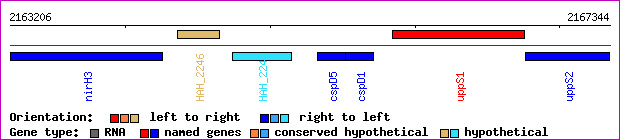 gene map