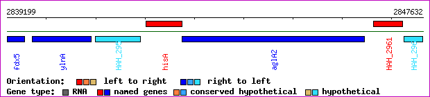 gene map