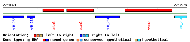 gene map