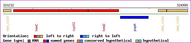 gene map