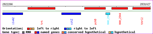 gene map