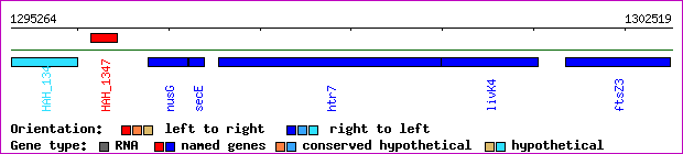 gene map