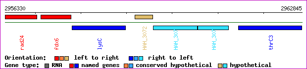gene map