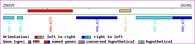 gene map
