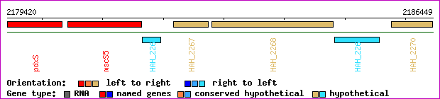 gene map