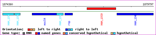 gene map