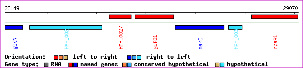 gene map