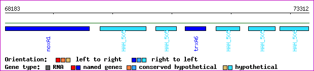 gene map
