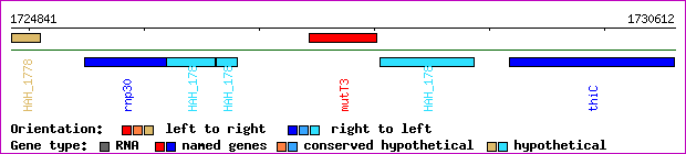 gene map