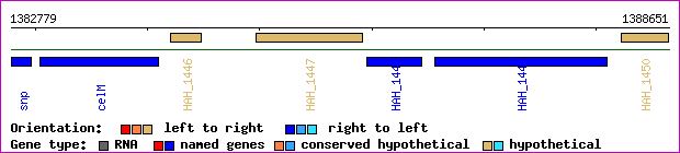 gene map