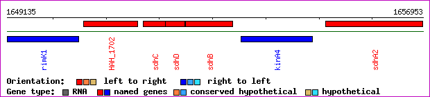 gene map