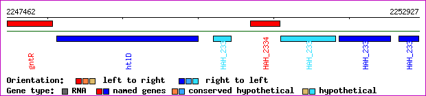 gene map