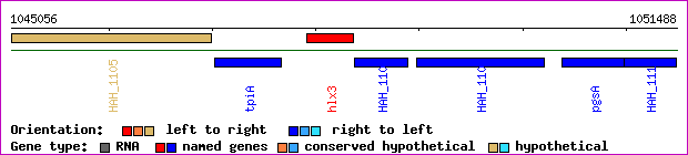 gene map