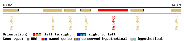 gene map