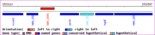 gene map