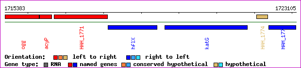 gene map