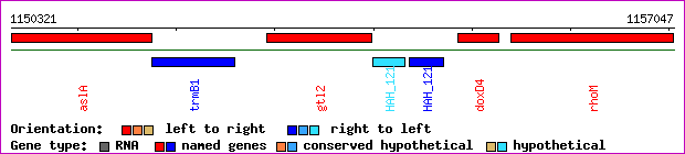 gene map