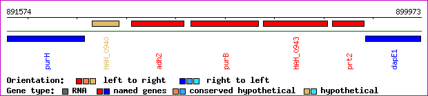 gene map