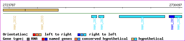 gene map