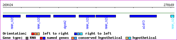gene map