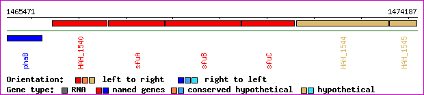 gene map