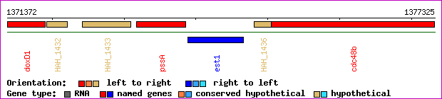 gene map