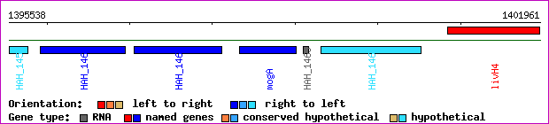 gene map