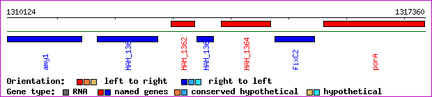 gene map