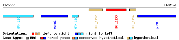 gene map