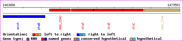 gene map