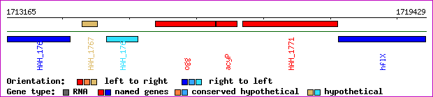 gene map