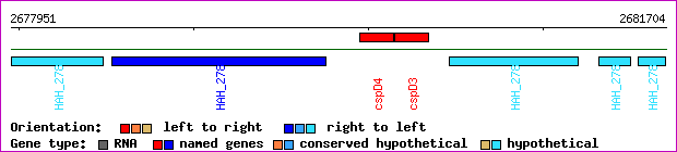 gene map