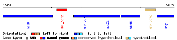 gene map