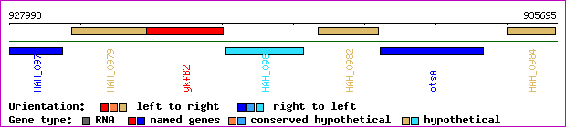 gene map