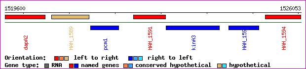 gene map