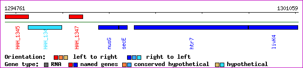 gene map