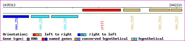 gene map