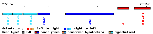 gene map