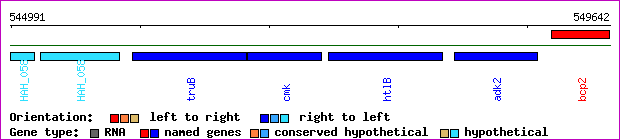 gene map